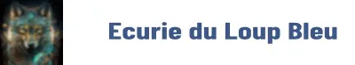 Logo-Loup-bleu-01